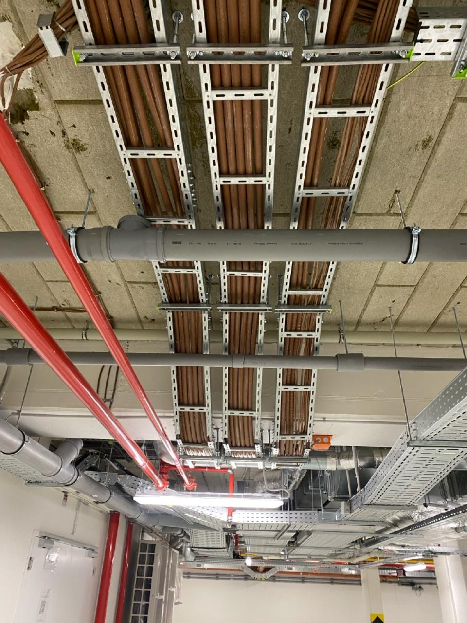 PHOTO-2026-01-12-08-53-58