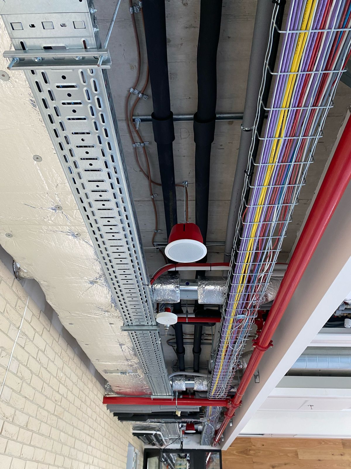 PHOTO-2026-01-12-09-00-03